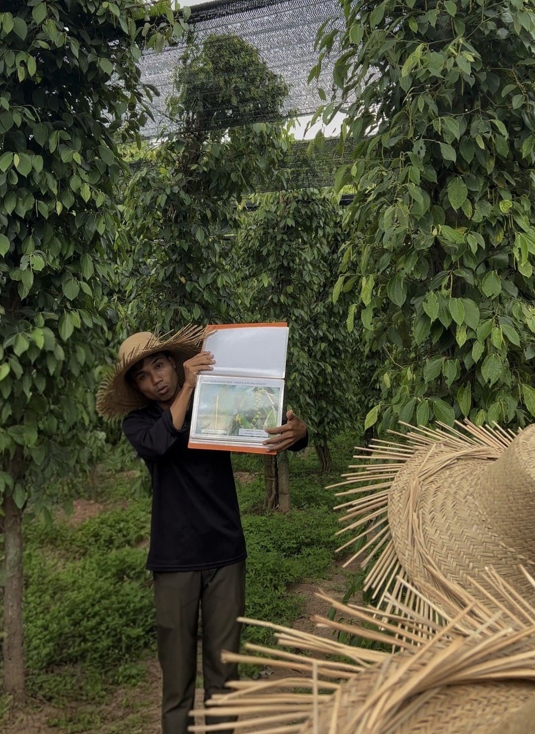 Ein lokaler Farmer präsentiert stolz seine Ernte auf einer traditionellen Pfefferfarm in Kampot, Kambodscha – persönliche Einblicke in die Beschaffung authentischer Schätze für Oversea Crate.
